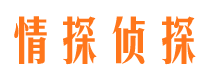 盐田侦探